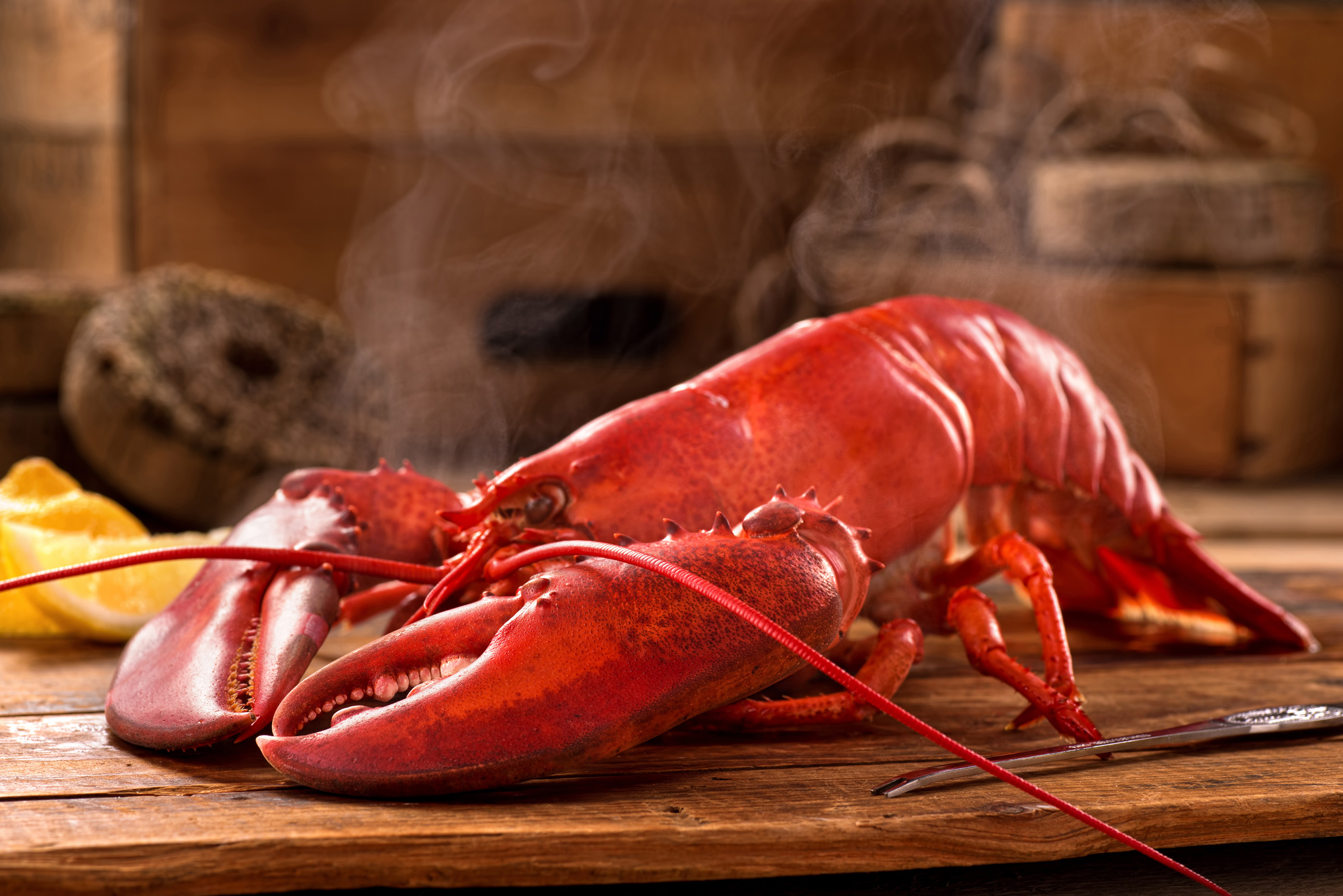 homard